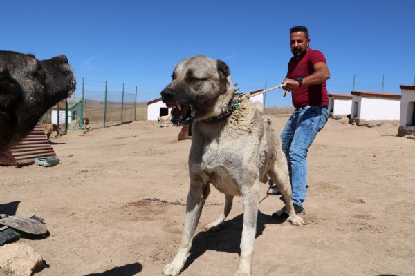 İtalyanlar ile ilk anlaşma sağlandı