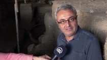 TURİZM BAKANLIĞI - Antandros'ta 'Pitos Mezar'lara Rastlandı
