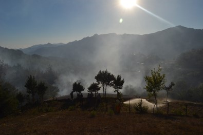 Adana'da Yangında 2 Hektarlık Orman Zarar Gördü