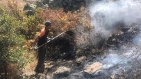 Aksaray'da Orman Yangını Haberi
