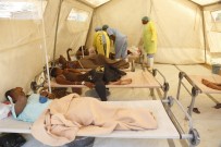 YOBE - Koleradan Ölenlerin Sayısı 97'Ye Çıktı