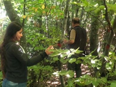 Öğrencilere Ormanda Tatbikî Eğitim