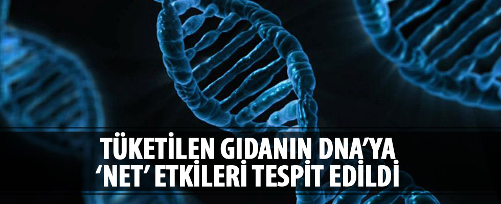 Tüketilen gıdanın DNA'ya 'net' etkileri tespit edildi