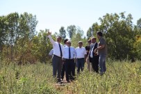 İSMAIL USTAOĞLU - Ahlat'ta Cumhurbaşkanlığı Köşkü İçin Yer Tespit Çalışması