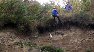 Bartın'da Uçurumda Mahsur Kalan Köpek Kurtarıldı