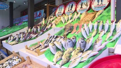 'Hamsi Avı İçin 1,5 Ay Daha Beklenmeli'