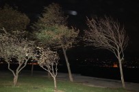 İstanbul'da Şiddetli Rüzgar Etkili Oluyor