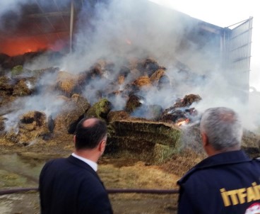 Konya'da Besi Çiftliğinde Yangın
