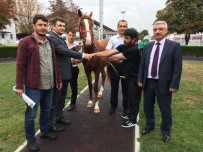 KAMUS - Lüks Daire Fiyatına Tay