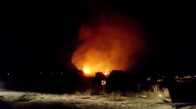 Milas'ta Orman Yangını