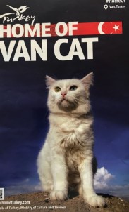 'Van Güzel' Kitapçığı Kültür Ve Turizm Camiasının Hizmetine Sunuldu