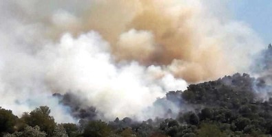 Yenipazar'daki Yangın Kontrol Altına Alındı