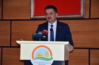 KAYIT DIŞI - Bakan Pakdemirli, Zeytin Rekoltesini Açıkladı