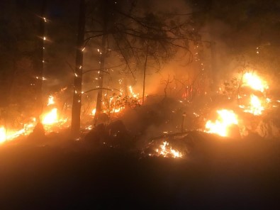 Bozbük'te Orman Yangını