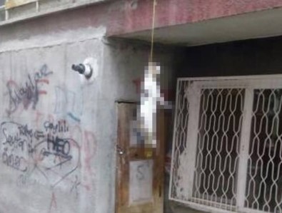 Bunu Yapan Caniler Aranıyor