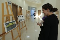 İSVEÇ - ETSO AB Bilgi Merkezi'nden 'İklim Haftası' Etkinliği