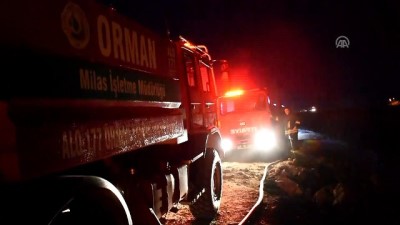 GÜNCELLEME - Bodrum'da Makilik Yangını