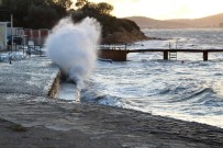 ŞİDDETLİ RÜZGAR - 'Kestane Karası' Rüzgarı Hayatı Olumsuz Yönde Etkiliyor