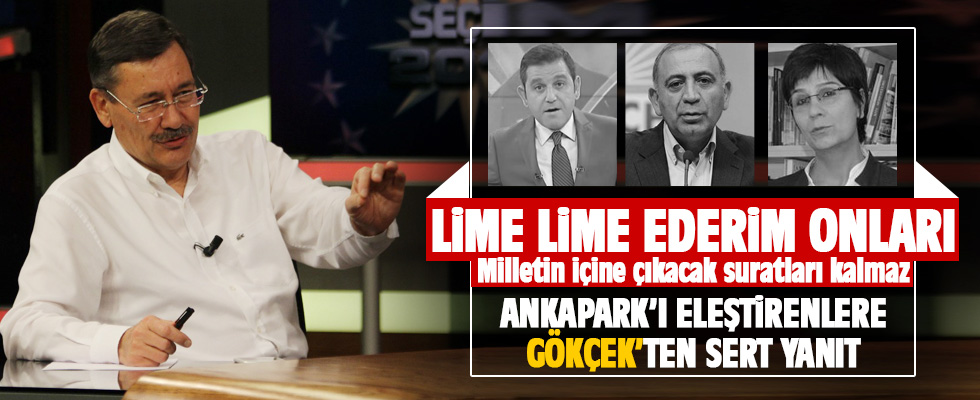 Melih Gökçek'ten Ankapark eleştirilerine sert yanıt: Lime lime ederim onları