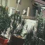 ATIK KAĞIT - Atık Kağıt Toplayıcısı Bodrum Katta Ne Bulduysa Çaldı
