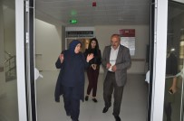 KONURALP - DÜ, Düzcelileri Ağırlamaya Devam Ediyor