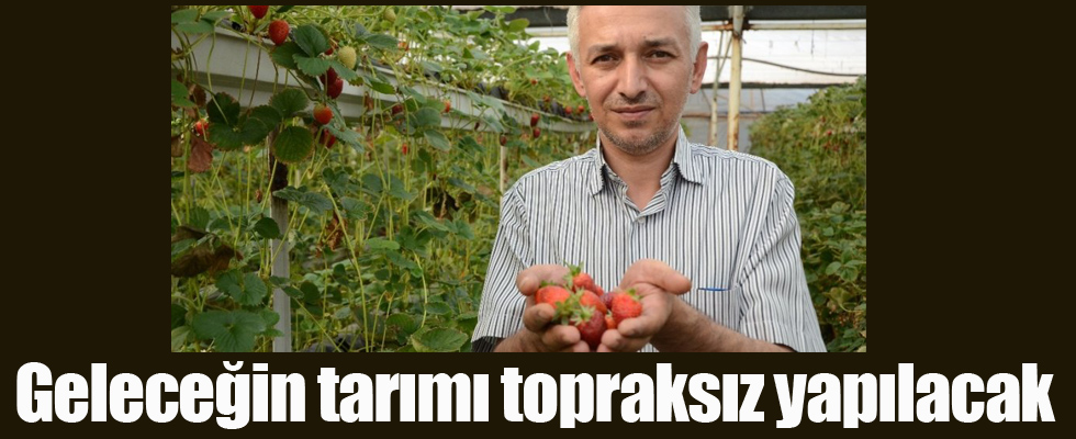 Geleceğin tarımı topraksız yapılacak