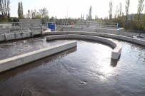 KÜÇÜKKUMLA - Gemlik Körfezi Artık Daha Temiz