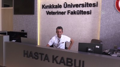 Hayvan Sevgisiyle En İyi 300 Fakülte Arasına Girdi