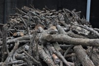 GARIBAN - Odun Ve Kömür Cep Yakıyor