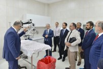 BİLİMSEL ARAŞTIRMA - SÜDETAM Hizmete Açıldı