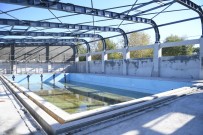OSMANGAZI BELEDIYESI - Yeni Karaman Yüzme Havuzu Yenileniyor