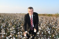 DÖVIZ KURU - Ayhan Barut'tan Pamuğa Destek Çağrısı