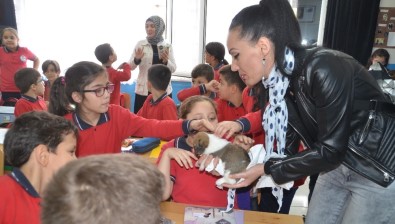 Bafra'da İlkokul Öğrencilerine Hayvan Sevgisi Aşılanıyor