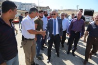 FAIK ARıCAN - Cizre'de 20 Çiftçiye 100 Adet Dişi Düve Dağıtıldı