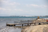 Yalova'da korkutan görüntü