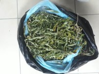 SERINYOL - Hatay'da Uyuşturucu Operasyonu