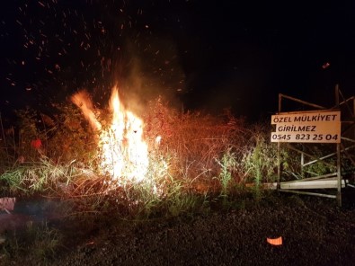 Orhangazi'de Korkutan Yangın