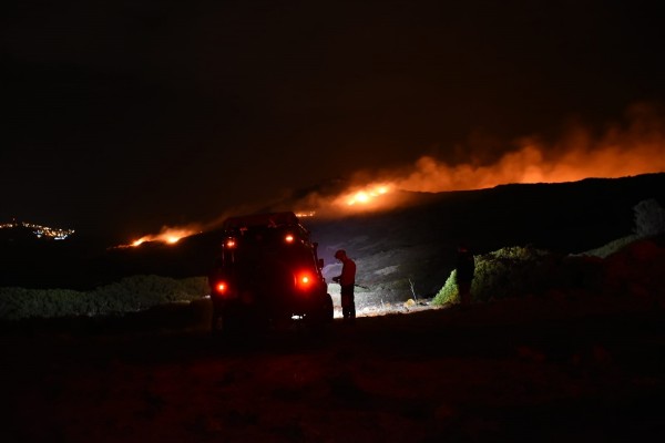 Bodrum'da makilik yangını