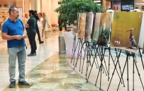 ATLANTIS - Başkent'in Kuşları Görücüye Çıktı