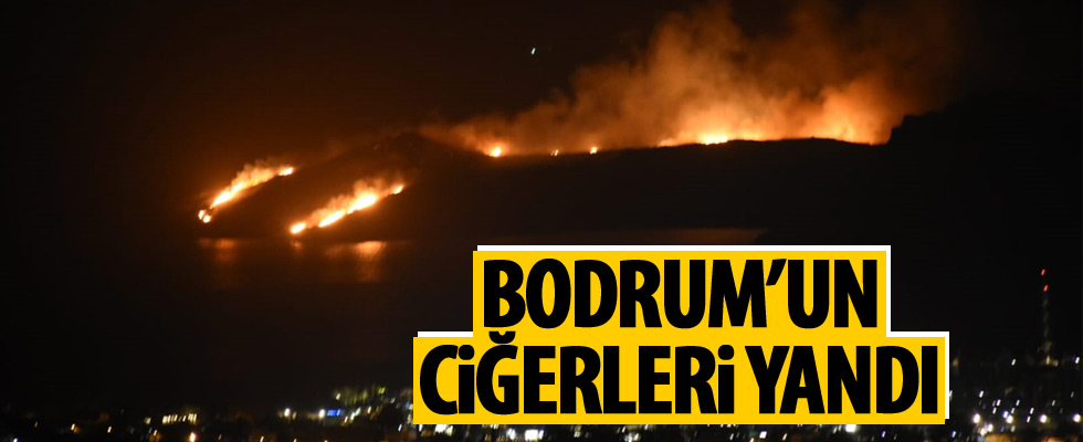 Bodrum'da makilik yangını