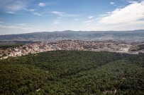 ORMAN İŞLETME MÜDÜRÜ - Gördes'in Yüzde 51'İ Orman Alanı