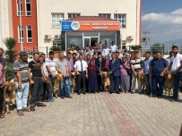 FARUK COŞKUN - Osmaniye'de Birlik Üyelerine Koç Dağıtımı Yapıldı