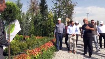 İRFAN BALKANLıOĞLU - Sakarya'da Peyzaj Ve Süs Bitkiciliği Festivali