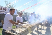 VAN GÖLÜ - Van'da Balık Festivaline Yoğun İlgi