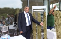 EKONOMIK KRIZ - Yerli Bamya Eyüpsultan'da Tanıtılıyor