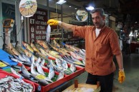 1 EYLÜL - Deniz Balıkları, Denize Kıyısı Olmayan Şehirlerde Yerini Almaya Başladı