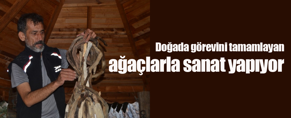 Doğada görevini tamamlayan ağaçlarla sanat yapıyor