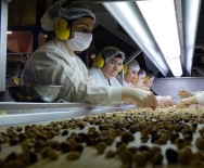 PIYASALAR - İhracatın Yüzakı Fındık