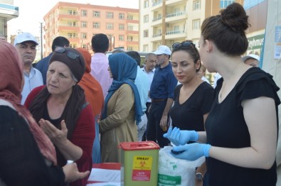 Mardin'de 'Halk Sağlığı Haftası' Kutlamaları Halaylarla Başladı