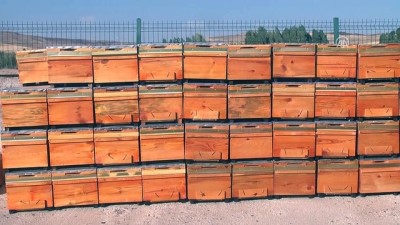 Muş'ta Genç Çiftçilere Arı Kovanı Dağıtıldı